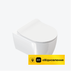 Унітаз підвісний безобідковий 48х36 см з сидінням Soft Close Excellent Doto Pure Rim 